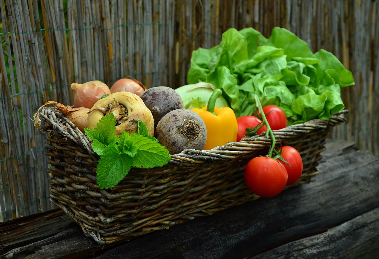 A basket of freshly harvested home-grown vegetables