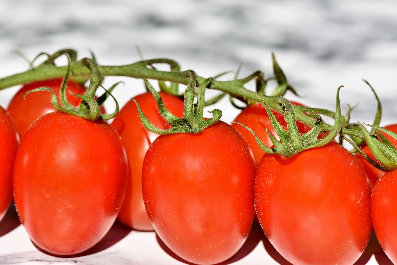 Ripe cherry tomatoes growing on a balcony plant